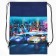 A bag for shoes Racing, non -packed canvas, size 30 x 40 cm