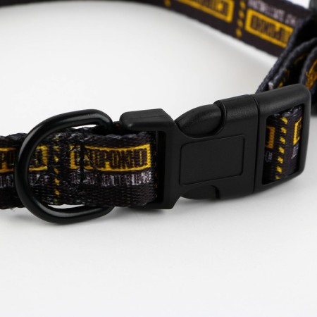 Collar "carefully", fastener - fastx, 2 cm 25-40 cm-5