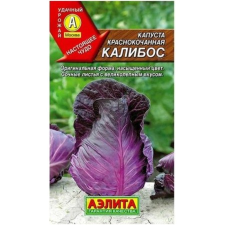 Cabbage Cabbage seeds "Caliber SR"
