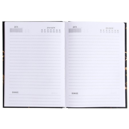 Diary Ledden on a5 128 sheet stitch, 7BC cardboard, matte lamination, foil "Aesthetics"-2