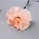 Artificial flowers "Extra Galant clove" D-8 cm 49 cm, peach