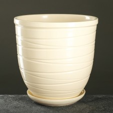 Flower Pot 
