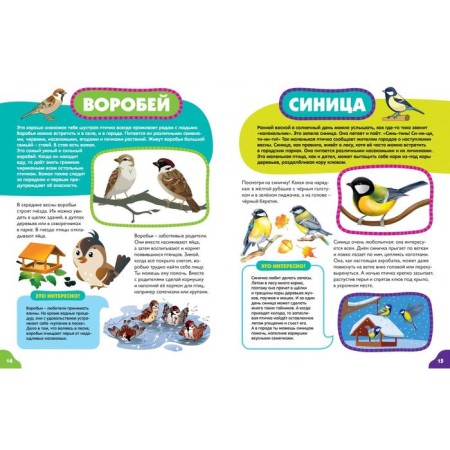 Birds for the smallest-3