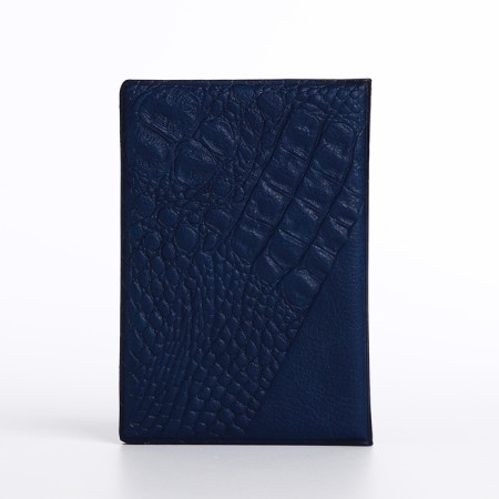 Cover for passport, blue color-1
