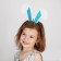 New Year's bezel-shuttle of the bunny "Pushistik"