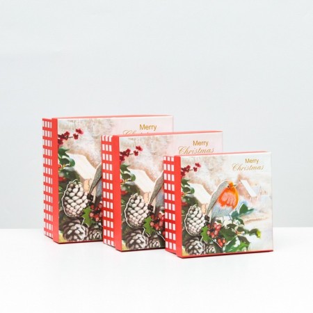 A set of boxes 3 in 1, 15.5x15.5x7.5 - 18x18x8.5 - 20x20x9.5 cm.-1