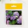 Foamiran's blank "Pilchet sheet" (set 10 pcs) 4.5x3 cm green