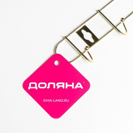 The hanger wall -mounted on 6 hooks "Light", 35 × 5 × 4 cm, the color of the gold-5