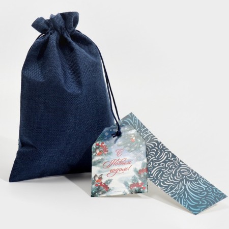 Gift bag "Blizzard", 20 x 30 cm +/- 1.5 cm, New Year-1