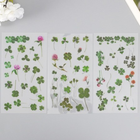 Stickers Plastic "Clover" set of 6 sheets 10x18 cm-1