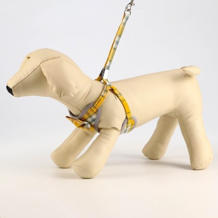AMUNICE COMMUNICAL with a soft harness, 120 x 1 cm, Osh 28-54 cm, OG 36-60 cm, gray-yellow cage-1