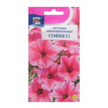 Petunia flowers are a lot of "Sofia F1", 0.01g. in amp.