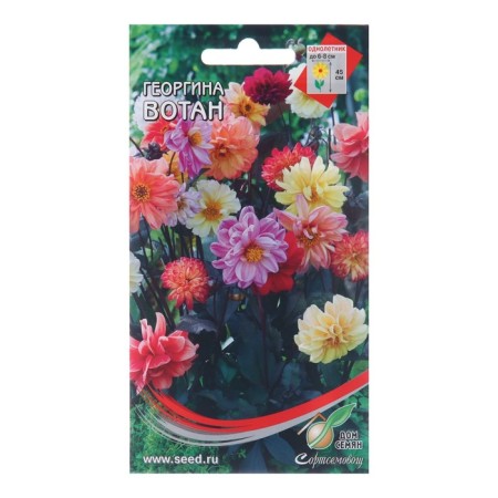Georgin's flowers "Votan", 15 pcs