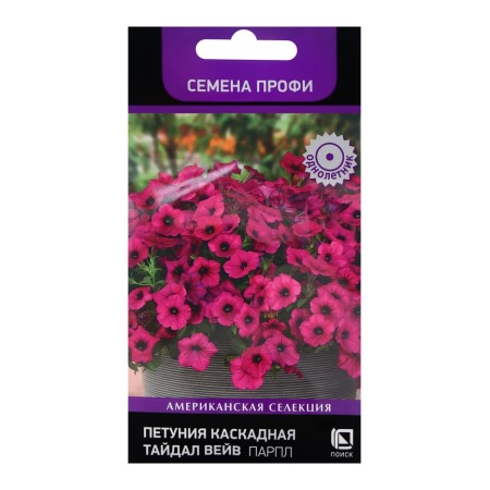 Flowers of Petunia Cascading Thadil Weive Parl, 5pcs