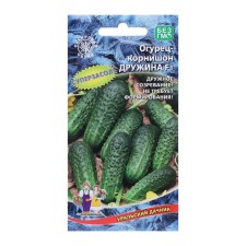 Seeds of cucumber 