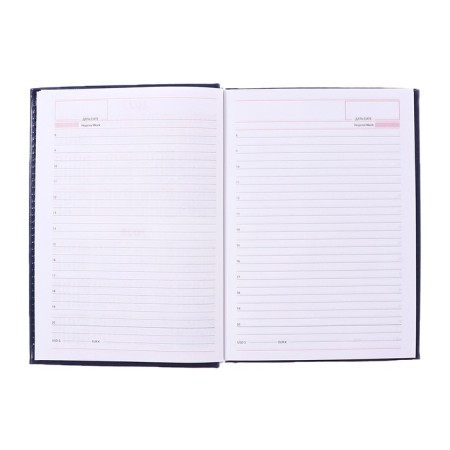Diary of Leduced A5, 160 sheets of Nebraska, covering artificial leather, corner perforation, blue-16
