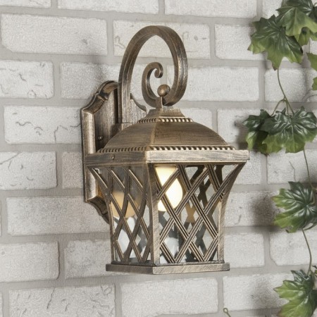 Elektrostandard Lamp Garden-Park, 60 W, E27, IP44, wall, Cassiopeya D