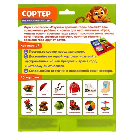 Sorter "Study the Seasons" with Doman's cards-5