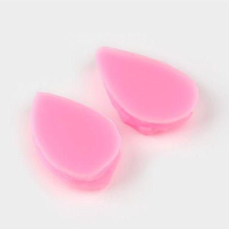Mold "Rose leaf", silicone, 2 items, 5 × 3 cm, color mix-2