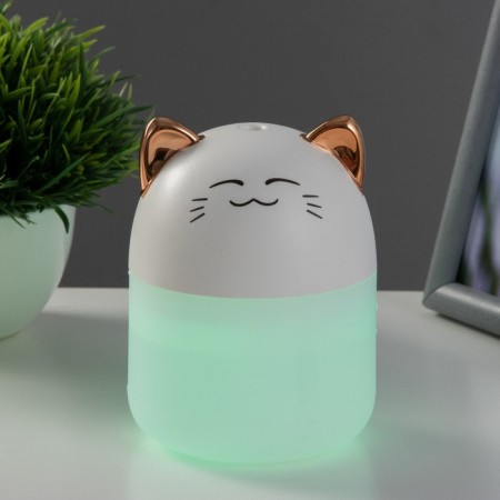 Night-owner "Tigeron" LED 2W USB 250ml white 8.4x8.4x10.8 cm Risalux-2