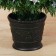 Fibrooptic Christmas tree "Galaxy" 60 cm D of the lower tier 38 cm 55 branches
