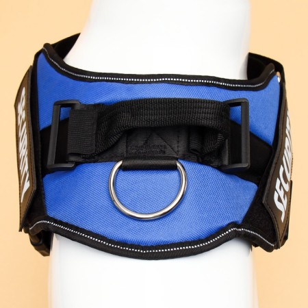 C9 sloping is soft reflective, size xl, og 80-95 cm, weight 30-45 kg, blue-5