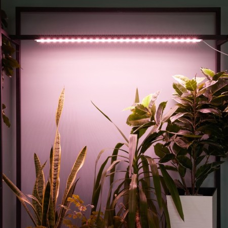 Lamp for plants LED linear, 900 mm Uniel, 14 W, LED, IP65, Color transparent-8