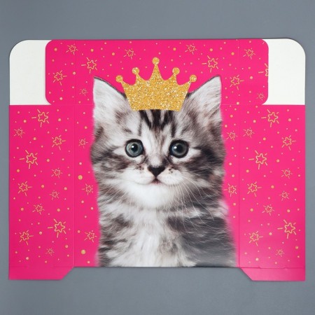 Gift folding box, packaging, “cat”, 25 x 25 x 10 cm-4