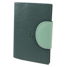 Cover for passport, green color