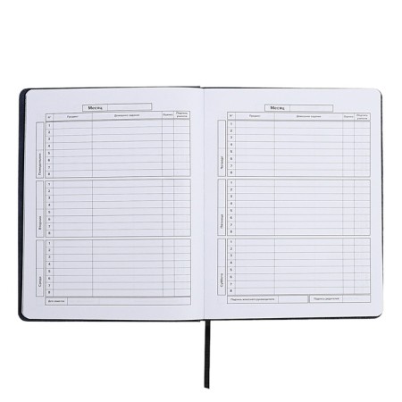 Universal Grade 1-11 Diary, 48 sheets "Joystick", a solid cover of artificial leather, applique, pancake embossing, lisse, universal cheat sheet, block 80 g/m2-7