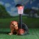 Garden Light "Hedgehog on legs with a lantern" 25 cm mix