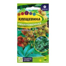 Cleshchevin seeds 