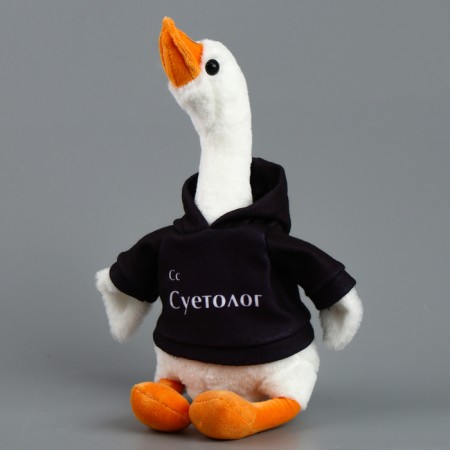 Soft toy "Goose: Suetologist", 35 cm-1