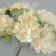 Decorative flower for the creativity of "chrysanthemum" pale snow