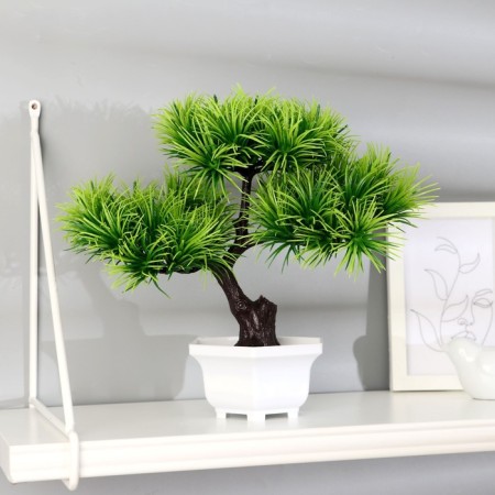 Bonsai in the pot "Agawa straight" 27x25 cm