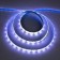 Ecla Pro 5 m, IP65, SMD2550, 60 LED/m, 19 W/m, 12 V, 6000K