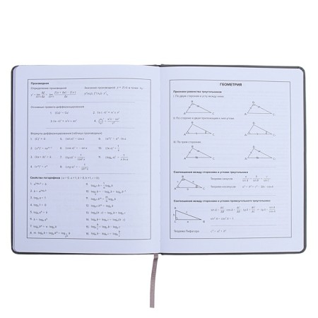 Universal Grade 1-11 Diary, 48 JIUCY sheets, firm artificial leather cover, foil embossing, pancake embossing, rhinestones, liesse-11