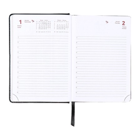 Dated diary 2025 b6 168 sheets, Devente. Wild, a hard cover to leatzers with foam rubber, perforation, liesse, block 70, black-12