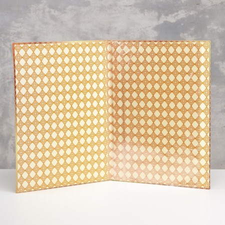 Folder with two A4 files "Graduate Diploma" Lilac, a book on a dark blue background-1