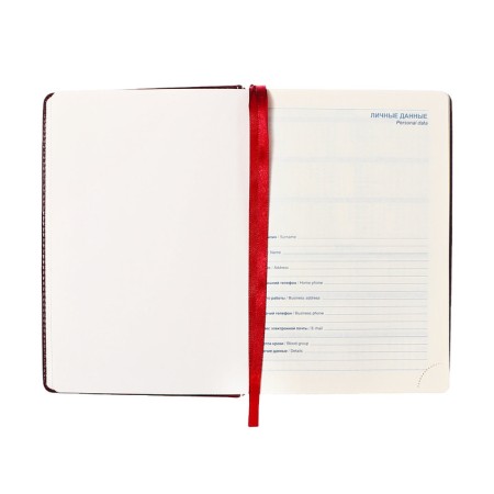 Dated diary of 2025, A5, 168 sheets in the ruler, leatherette "Nebraska", gold cut, burgundy-5