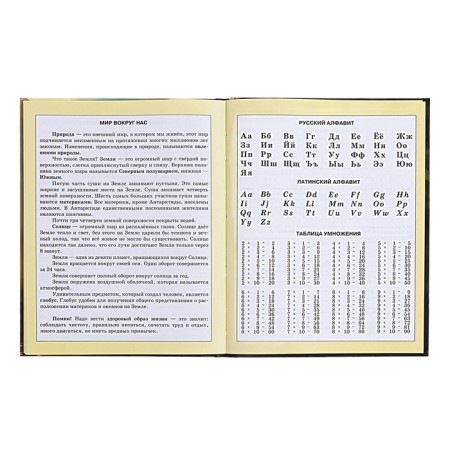 Diary for grades 1-4, solid cover "animals", matte lamination, selective varnish, block 60 g/m2-13