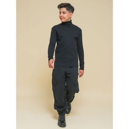 Turtleneck for the boy Pelican, height 122 cm, black color-6