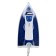 Iron Willmark SI-2267CB, 2200 W, anti-stick soles, 20 g/min, 210 ml, blue-white