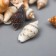 Decorative shells "Nassa" 100 g ± 5 g 0.6-1.2 cm