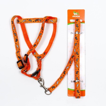 Set "Dogs", leash 120 x 1 cm, og 23-35 cm, orange-6