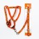 Set "Dogs", leash 120 x 1 cm, og 23-35 cm, orange