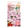 Flowers Catarantus Pink "Volcano Lavender F1", 5 pcs