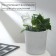 Auto -polywave for indoor plants, PVC, "owl", Greengo