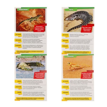 Mini-encyclopedia "World of Animals", 8 pcs. 20 p.-8