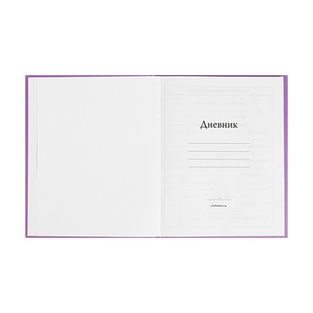 Diary 1-4 grade, 48 sheets of Kapibara, solid cover, matte lamination, fraud, glitter, glitter/m2-3